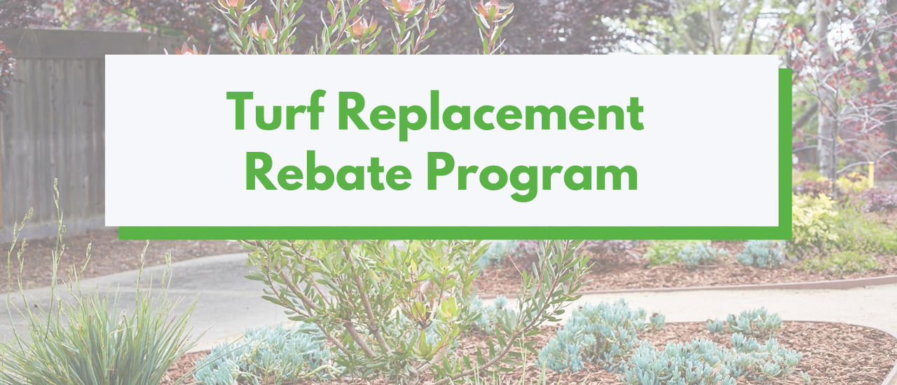 ladwp-on-twitter-our-turf-replacement-rebate-increased-from-3-to-5